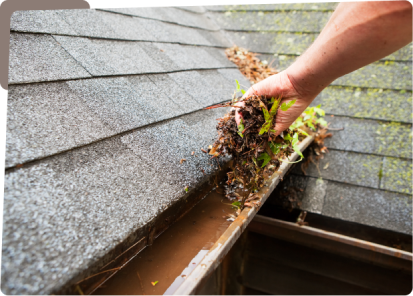 A person is cleaning the gutter of their roof.