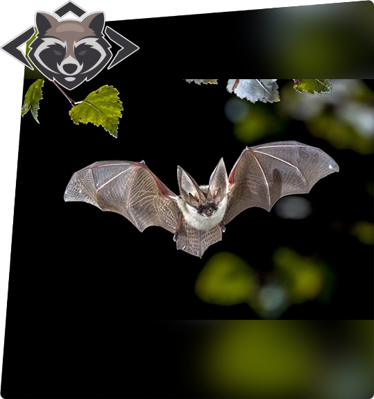 A bat flying through the air with leaves around it.