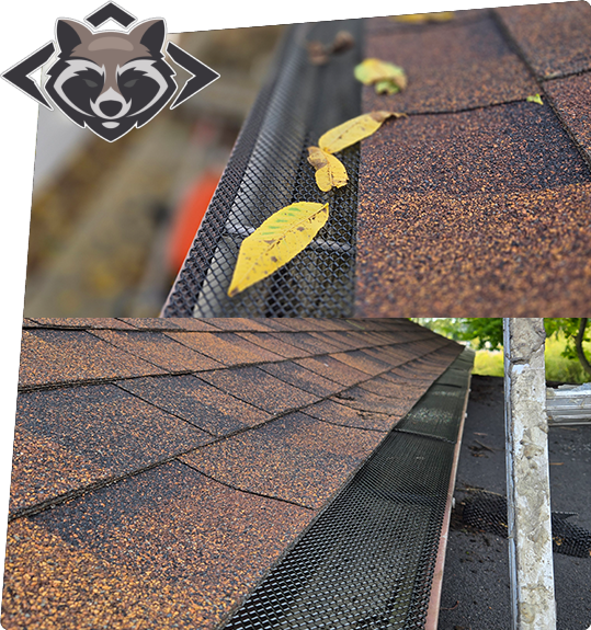 A collage of photos with leaves and debris on the roof.